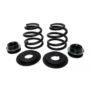 Rear Coilover Spring Upgrade Kit for MK1 Audi TT Quattro & 2004 VW R32 - EC-VW005-RU Rear Coilover Spring Upgrade Kit for MK1 Audi TT Quattro & 2004 VW R32 - EC-VW005-RU